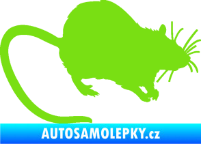 Samolepka Krysa 002 pravá zelená kawasaki