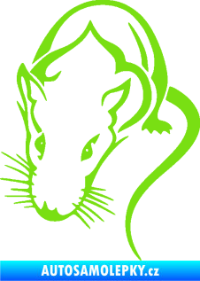 Samolepka Krysa 004 levá zelená kawasaki
