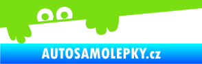 Samolepka Kuk 008 levá šmírák zelená kawasaki