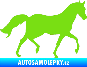 Samolepka Kůň 003 pravá zelená kawasaki