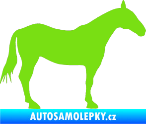 Samolepka Kůň 005 pravá zelená kawasaki