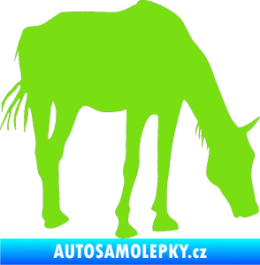 Samolepka Kůň 008 pravá zelená kawasaki