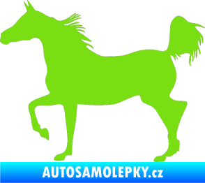 Samolepka Kůň 009 levá zelená kawasaki