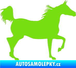Samolepka Kůň 009 pravá zelená kawasaki