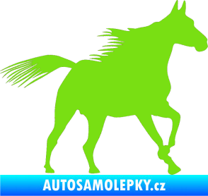 Samolepka Kůň 010 pravá zelená kawasaki