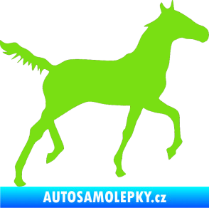 Samolepka Kůň 011 pravá zelená kawasaki