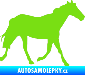 Samolepka Kůň 012 pravá zelená kawasaki