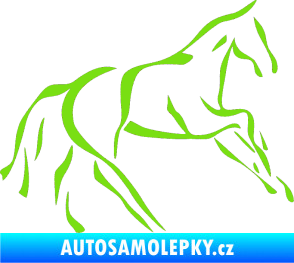 Samolepka Kůň 024 pravá zelená kawasaki