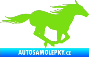 Samolepka Kůň 029 pravá zelená kawasaki