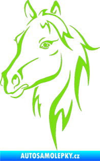 Samolepka Kůň 030 levá zelená kawasaki