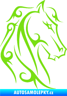 Samolepka Kůň 036 pravá zelená kawasaki