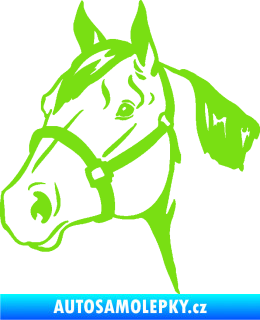Samolepka Kůň 040 levá zelená kawasaki