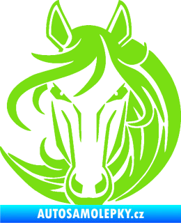 Samolepka Kůň 043 pravá zelená kawasaki