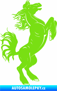 Samolepka Kůň 045 pravá zelená kawasaki