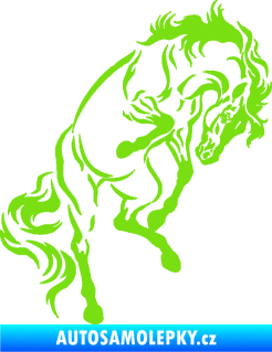 Samolepka Kůň 047 pravá zelená kawasaki