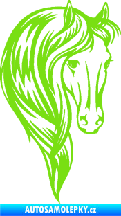 Samolepka Kůň 064 pravá s hřívou zelená kawasaki