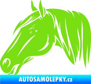 Samolepka Kůň 065 levá hlava s hřívou zelená kawasaki