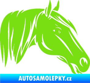 Samolepka Kůň 065 pravá hlava s hřívou zelená kawasaki