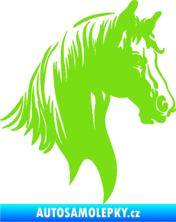 Samolepka Kůň 066 pravá hlava s hřívou zelená kawasaki