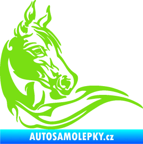 Samolepka Kůň 085 pravá zelená kawasaki