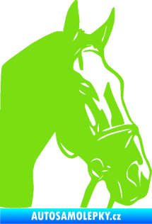 Samolepka Kůň 089 pravá zelená kawasaki