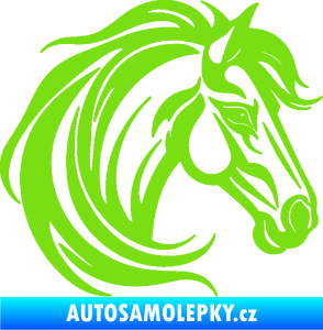 Samolepka Kůň 103 pravá hlava zelená kawasaki