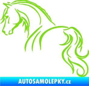 Samolepka Kůň 104 levá zelená kawasaki