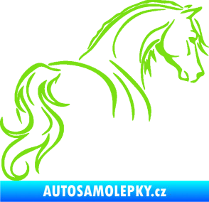 Samolepka Kůň 104 pravá zelená kawasaki
