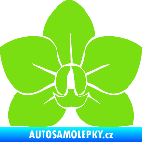 Samolepka Květina dekor 023 orchidej květ zelená kawasaki