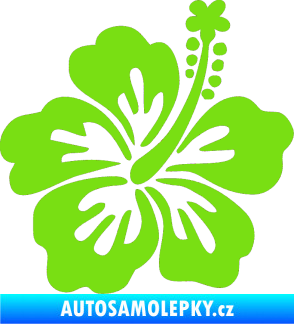 Samolepka Kytička 001 pravá ibišek zelená kawasaki
