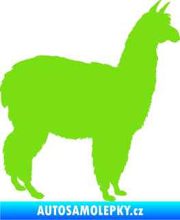 Samolepka Lama 002 pravá alpaka zelená kawasaki