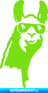 Samolepka Lama 003 pravá zelená kawasaki