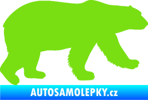 Samolepka Lední medvěd 002 pravá zelená kawasaki