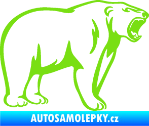 Samolepka Lední medvěd 003 pravá zelená kawasaki