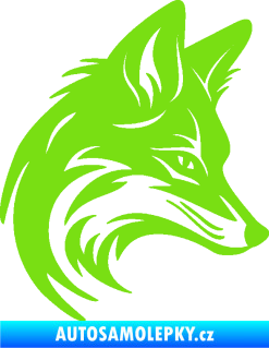 Samolepka Liška 005 pravá hlava zelená kawasaki