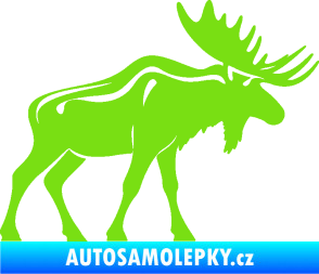 Samolepka Los 006 pravá zelená kawasaki