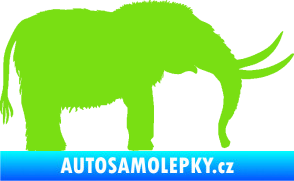 Samolepka Mamut 001 pravá zelená kawasaki