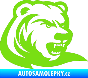 Samolepka Medvěd 001 pravá zelená kawasaki