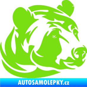 Samolepka Medvěd 007 pravá hlava zelená kawasaki