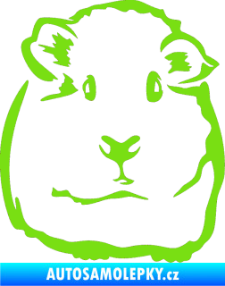 Samolepka Morče 001 pravá zelená kawasaki