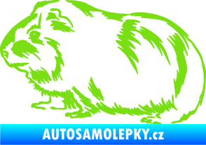 Samolepka Morče 002 levá zelená kawasaki