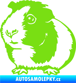 Samolepka Morče 003 levá zelená kawasaki
