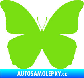 Samolepka Motýl 006 zelená kawasaki