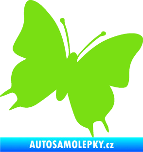 Samolepka Motýl 007 pravá zelená kawasaki