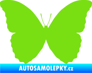 Samolepka Motýl 008 zelená kawasaki