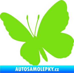 Samolepka Motýl 009 levá zelená kawasaki