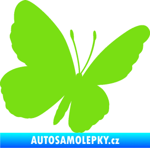 Samolepka Motýl 009 pravá zelená kawasaki