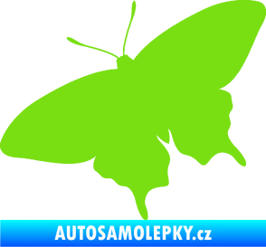 Samolepka Motýl 010 levá zelená kawasaki