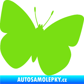 Samolepka Motýl 011 pravá zelená kawasaki