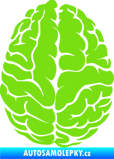 Samolepka Mozek 001 pravá zelená kawasaki